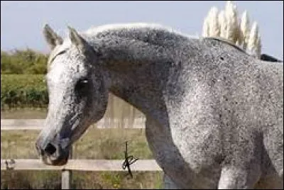 Quelle est cette robe ?