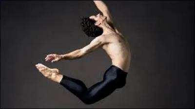 Quel membre était un danseur de ballet avant ses débuts ?