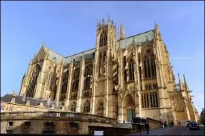 Ses nappes sont bord&eacute;es de galons, c'est le...