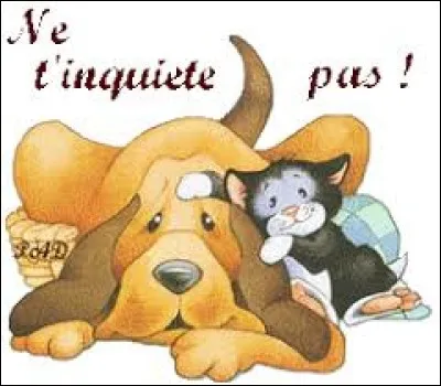 Des fois on veut se rassurer donc on dit "t'inquiète pas" :