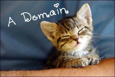 Pour se dire au revoir on dit "à demain" :