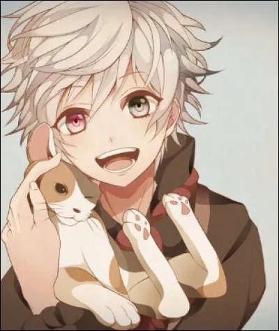 Ton style de mec c'est plutôt...