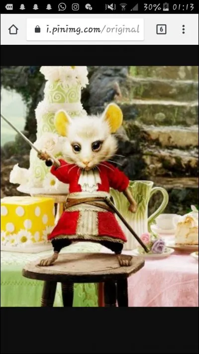 Quelle est la particularit&eacute; de la souris ?