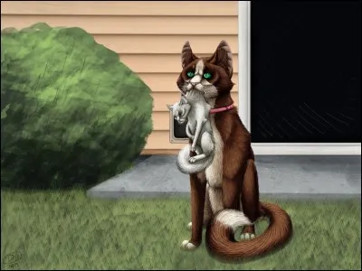 Quel était le nom de Flocon de Neige quand il était un chat domestique ?