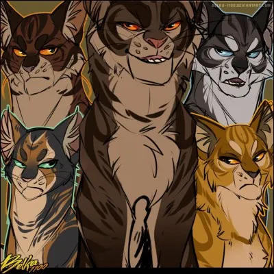 Qui Étoile du Tigre préférait-il ?