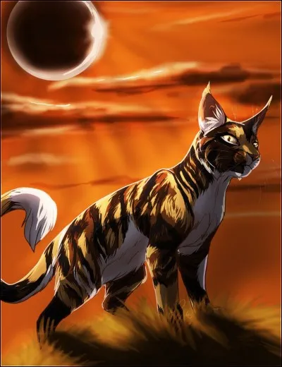 Comment s'appelait Sol quand il était un chat domestique ?