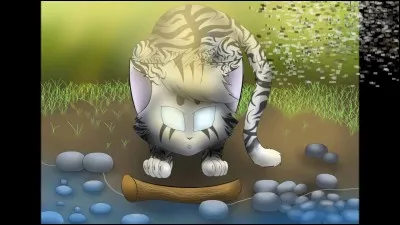 il de Geai a du sang du Clan du Ciel.