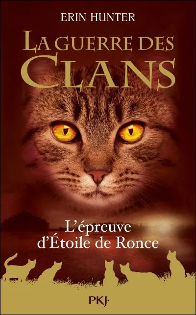 Quel âge ont Poil d'Écureuil et Feuille de Lune dans l'épreuve d'Étoile de Ronce ?
