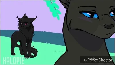 Pourquoi Plume de Jais rejetait-il Belle de Nuit ?