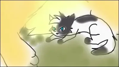 Quel âge avait Croc de Blaireau quand il est mort ?