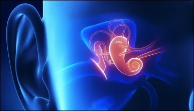 "Chinatown" est un film dans lequel a joué John Huston.