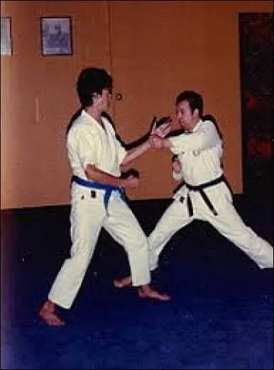 Quelle est l'origine du karaté ?