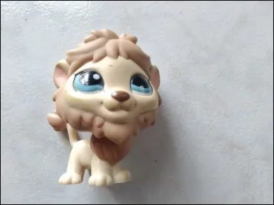 Quelle est la race de ce LPS ?