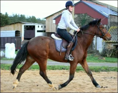 Comment savons-nous &agrave; quelle main nous sommes ?