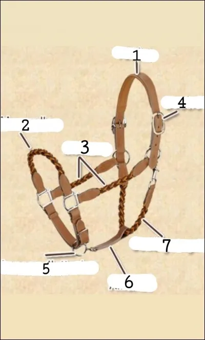 Comment se nomme la partie N&deg;4 du licol ?