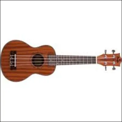 À quelle famille d'instruments appartient le ukulélé ?