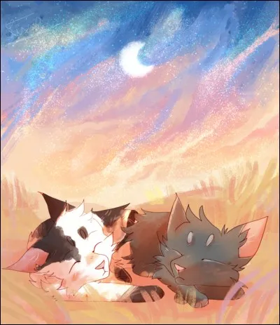 Où préfères-tu vivre ?