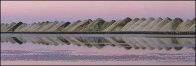 Le tas de sel retiré d'un marais salant a pour nom...