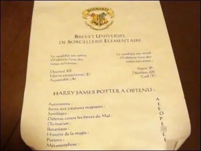 Quelles sont les notes de Harry à l'examen de B.U.S.E. pour l'histoire de la magie ?