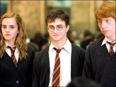 Pourquoi Harry, Ron et Hermione se sentent-ils coupables quand ils choisissent les matières de leur 6e année ?