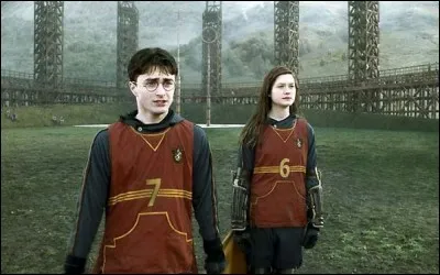 Après le cours de potions où Harry gagne le Felix Felicis, il y a un match de quidditch. Qui commente ?