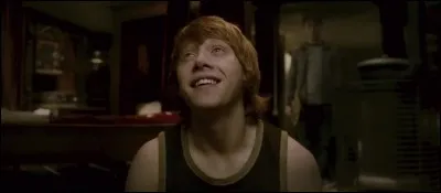 Ron mange les chocolats de Saint-Valentin offerts pour Harry. Mais ils contiennent un philtre d'amour puissant ! Qui a voulu que Harry l'aime ?