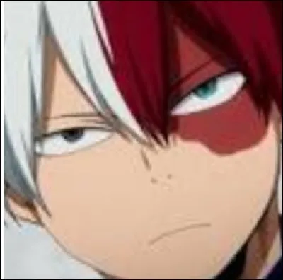 Quel est le nom de famille de Shoto ?