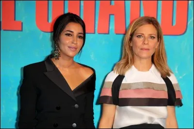 Qui a remporté le César 2019 du meilleur réalisateur avec son film "Le Grand Bain" ?