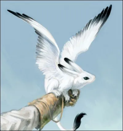 Votre type d'animal pr&eacute;f&eacute;r&eacute; est celui des...