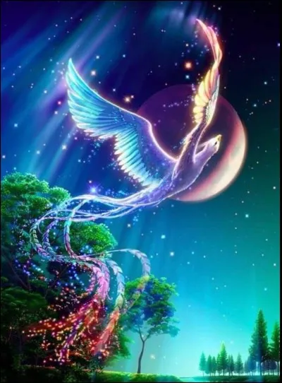 Vos &eacute;l&eacute;ments pr&eacute;f&eacute;r&eacute;s sont...