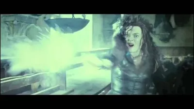 Qui a tu&eacute; Bellatrix Lestrange ?