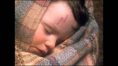 Qui a amen&eacute; Harry devant la maison des Dursley quand il &eacute;tait b&eacute;b&eacute; ?