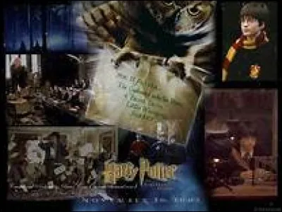 Quel élève expliquera à tous ses camarades ce qu'est le Sinistros en classe de divination ?