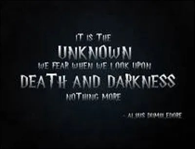 Quelle matière fut, de son temps, enseignée par Albus Dumbledore ?