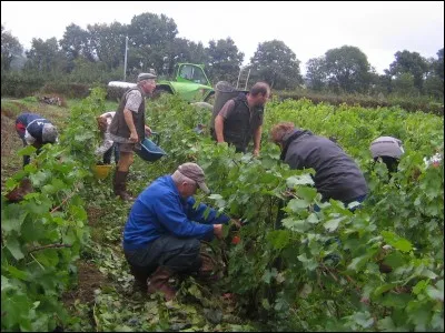 Les Vidanges dans la Boue !