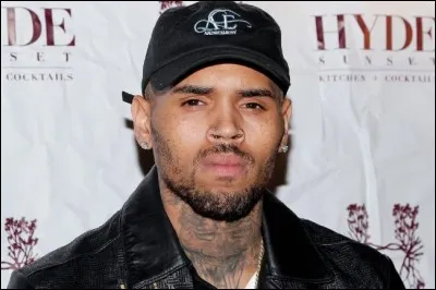 Qui est le chanteur ?