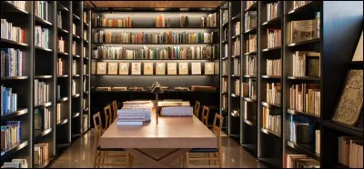 Pour tuer le temps, je vous propose de vous plonger au beau milieu de centaine de bouquins de tous types. C'est...