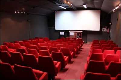 Si vous n'aimez pas la lecture, peut-être une petite séance dans cette salle, pour regarder un bon film. Il s'agit d'une...