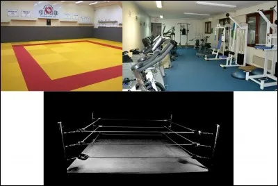 Vous êtes adeptes des pratiques sportives ? Dans cette partie du bunker, on trouve un dojo, une salle de musculation et un ring. C'est une salle de...