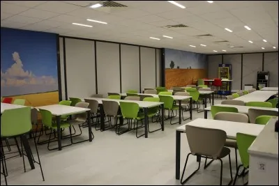 Pour déguster les plats préparés en cuisine, nous profitons de ce(tte)...