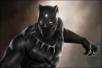 Qui est Black Panther?