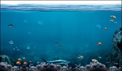 Qui est le dieu des océans ?