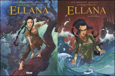 Ces images sont les couvertures des tomes...