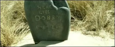 Elfe libre ou servir tes maîtres ?