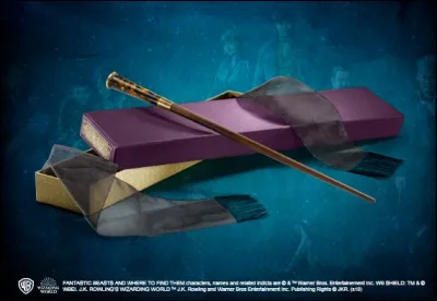 À qui appartient cette baguette ?