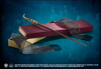 À qui appartient cette baguette ?