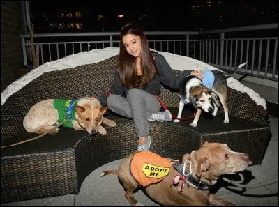 Quel est son animal préféré ?