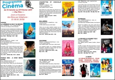 Ensuite, vous cocherez la r&eacute;ponse qui correspond &agrave; ce que l'on vous demande &agrave; propos de ce programme de cin&eacute;ma. Qui a r&eacute;alis&eacute; le film "Cigarettes et chocolat chaud" ?