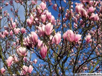 Quelle est cette lettre --