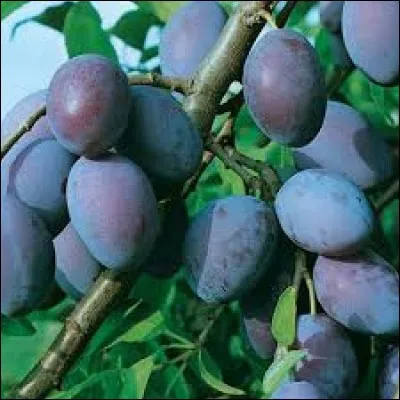 Quelle est cette lettre ? --.-